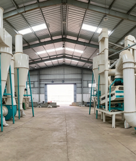 Sesame cleaning line
